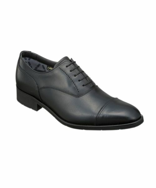 REGAL GORE-TEX 27cm 35HR ストレートチップ ビジネス REGAL（リーガル） 35HR ストレートチップ GORE-TEX 幅広 ブラック