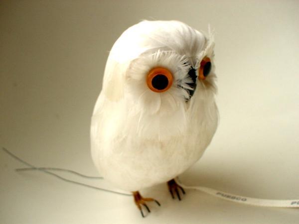 ☆PUEBCO（プエブコ）フクロウ Owl ホワイト 白 リアルバード鳥 剥製の