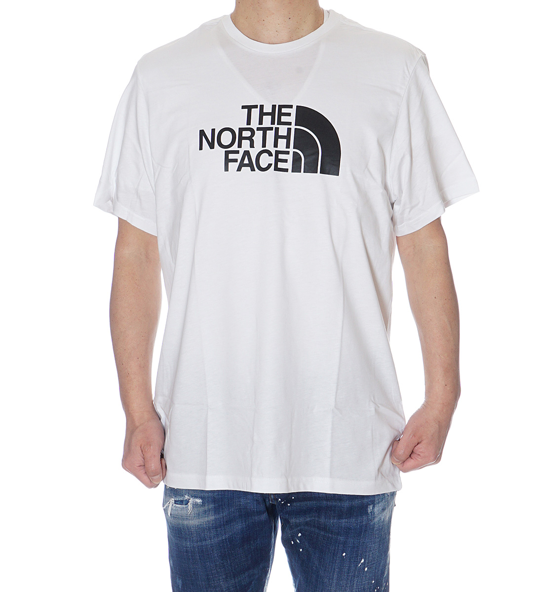 ノースフェイス Tシャツ 半袖 THE NORTH FACE ティーシャツ トップス カットソー N...