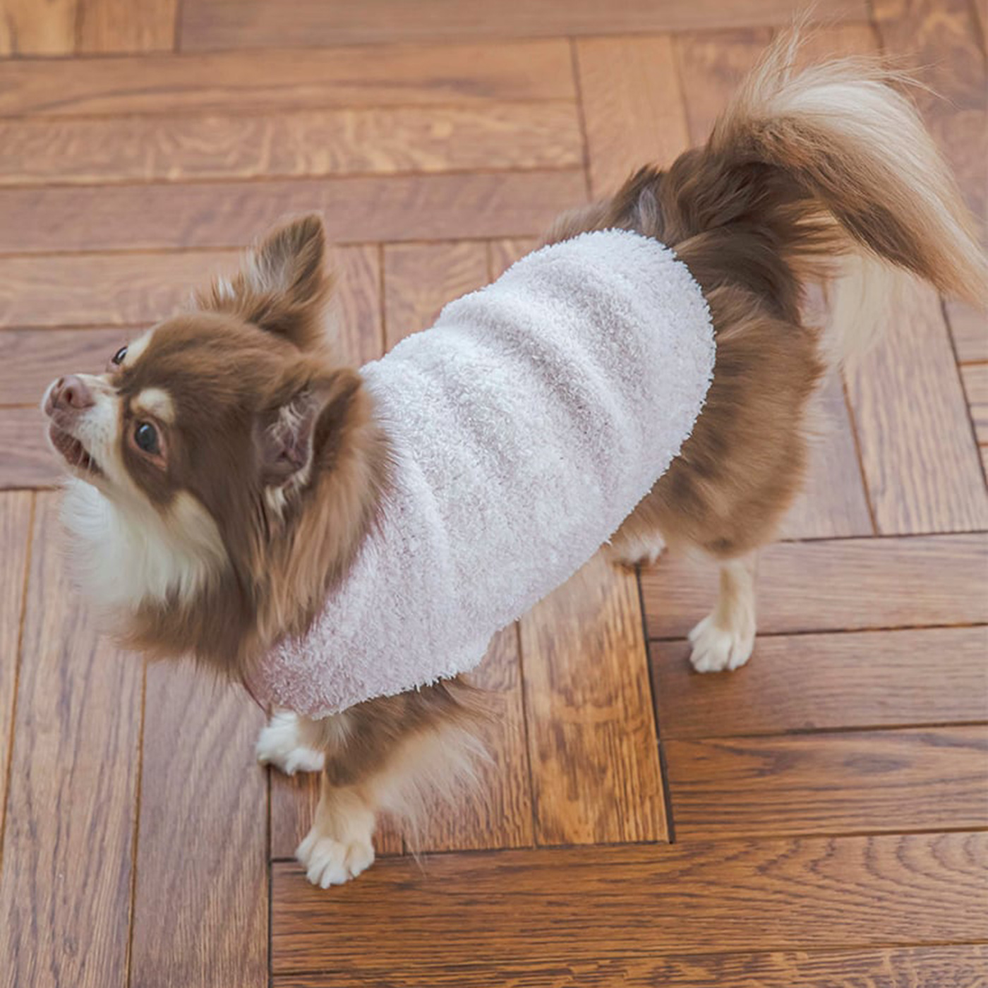 gelato pique（ジェラートピケ） CAT&DOG 販路限定商品 ベビモコネップ