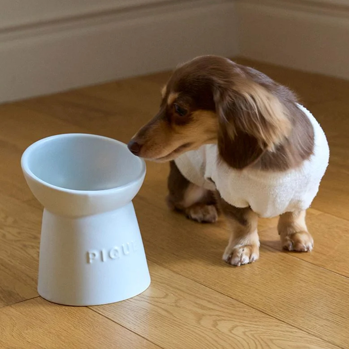 gelato pique（ジェラートピケ） CAT＆DOG ハイスタンドフードボウル