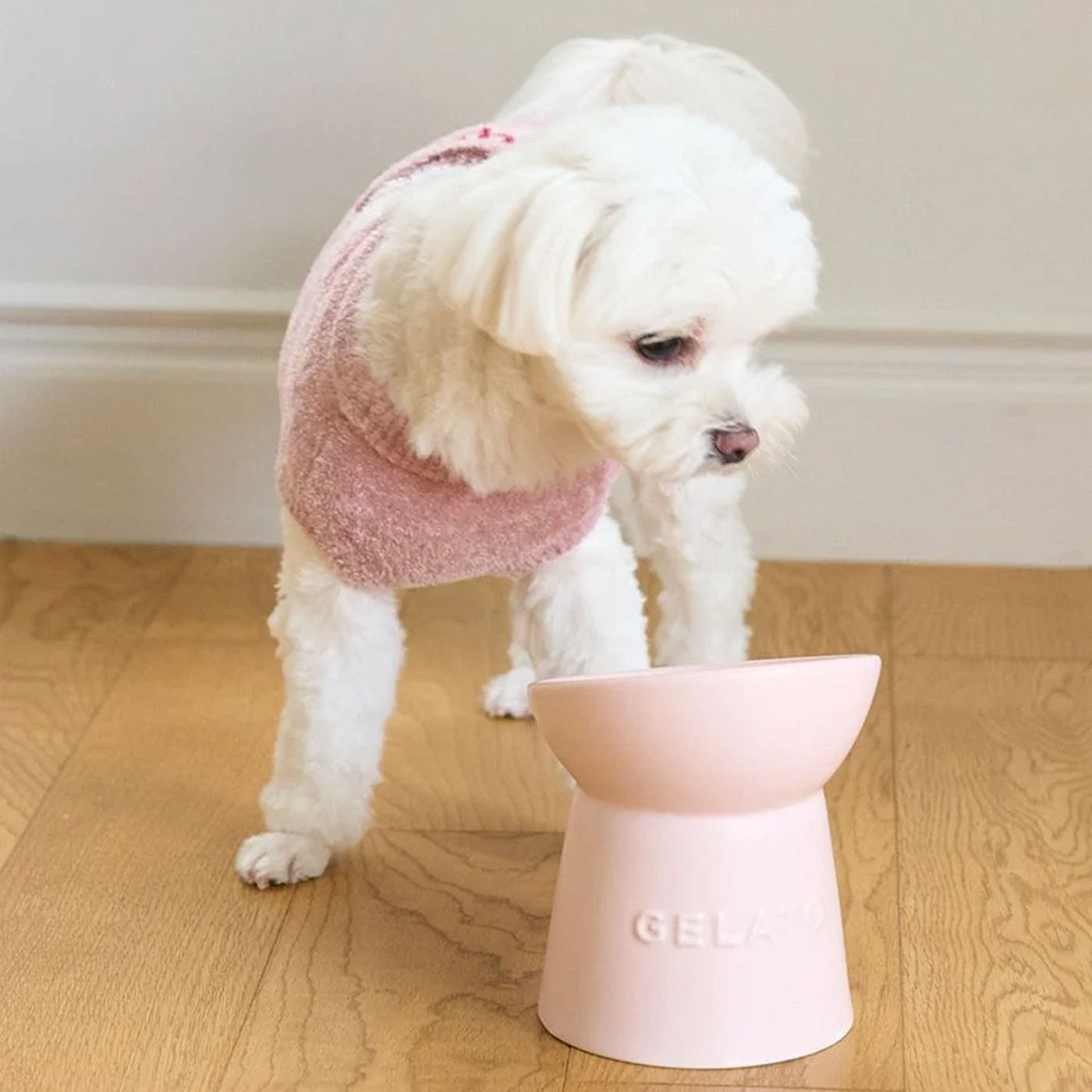 ジェラートピケ ペット用 ハイスタンドフードボウル gelato pique（ジェラートピケ） CAT＆DOG ハイスタンドフードボウル