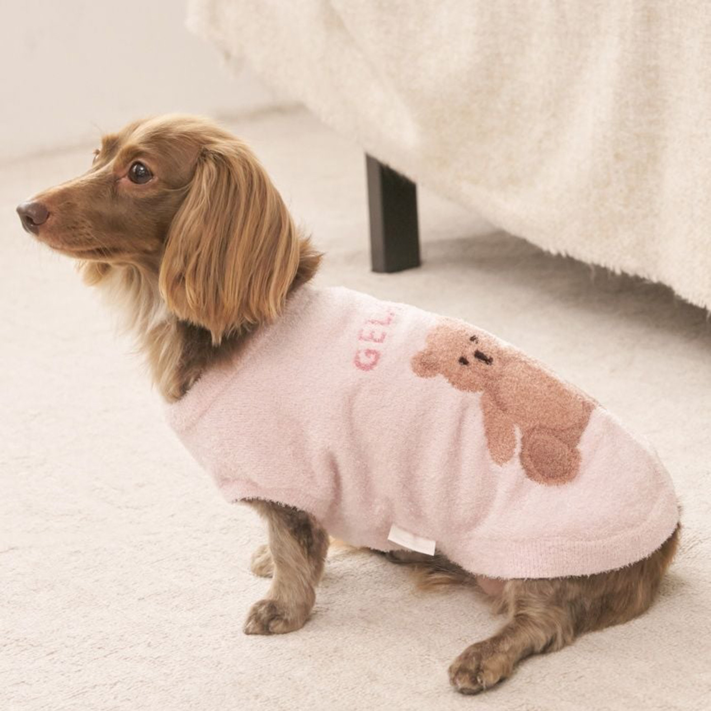 gelato pique（ジェラートピケ） CAT&DOG ベアジャガードプルオーバー