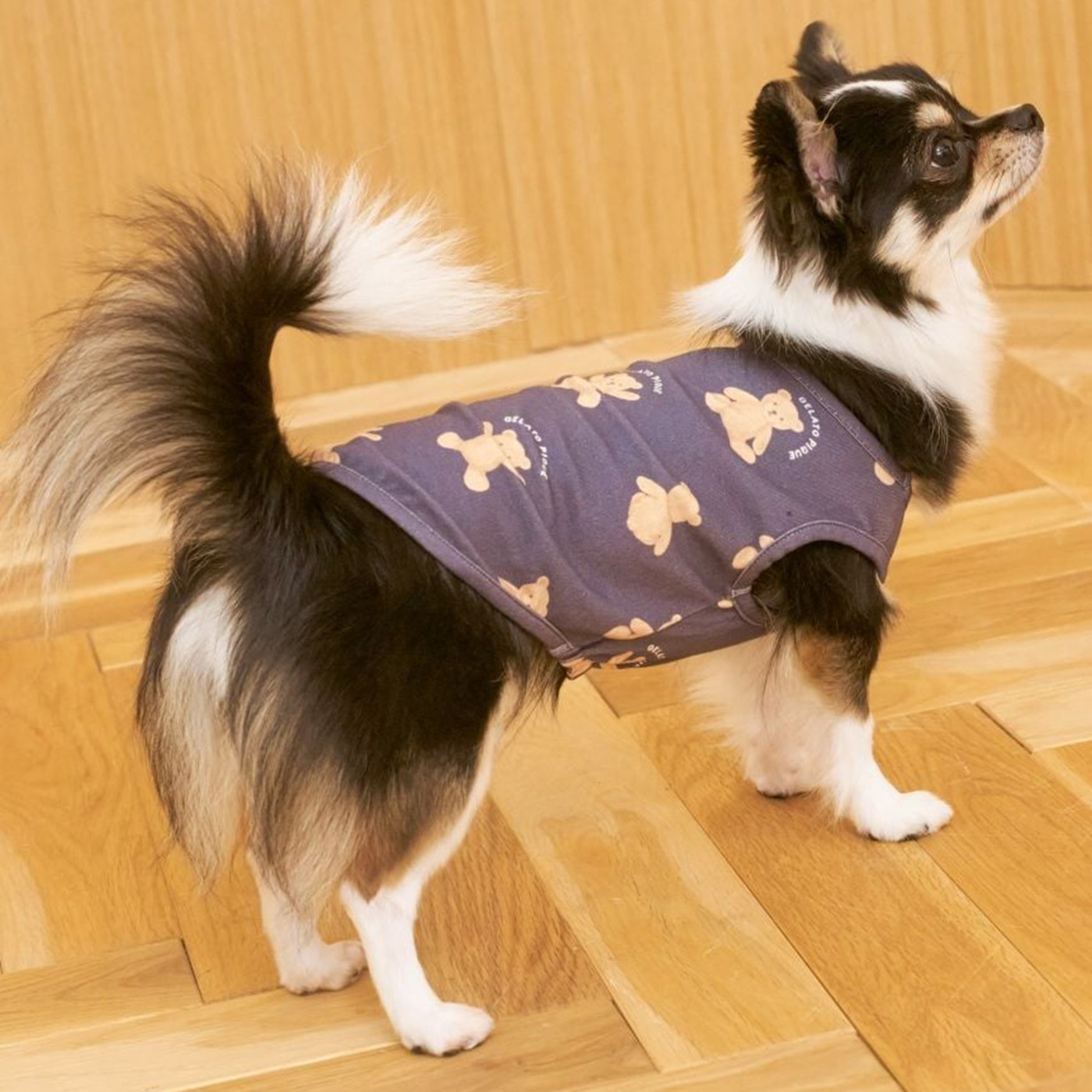 gelato pique（ジェラートピケ） CAT&DOG ベア柄プルオーバー