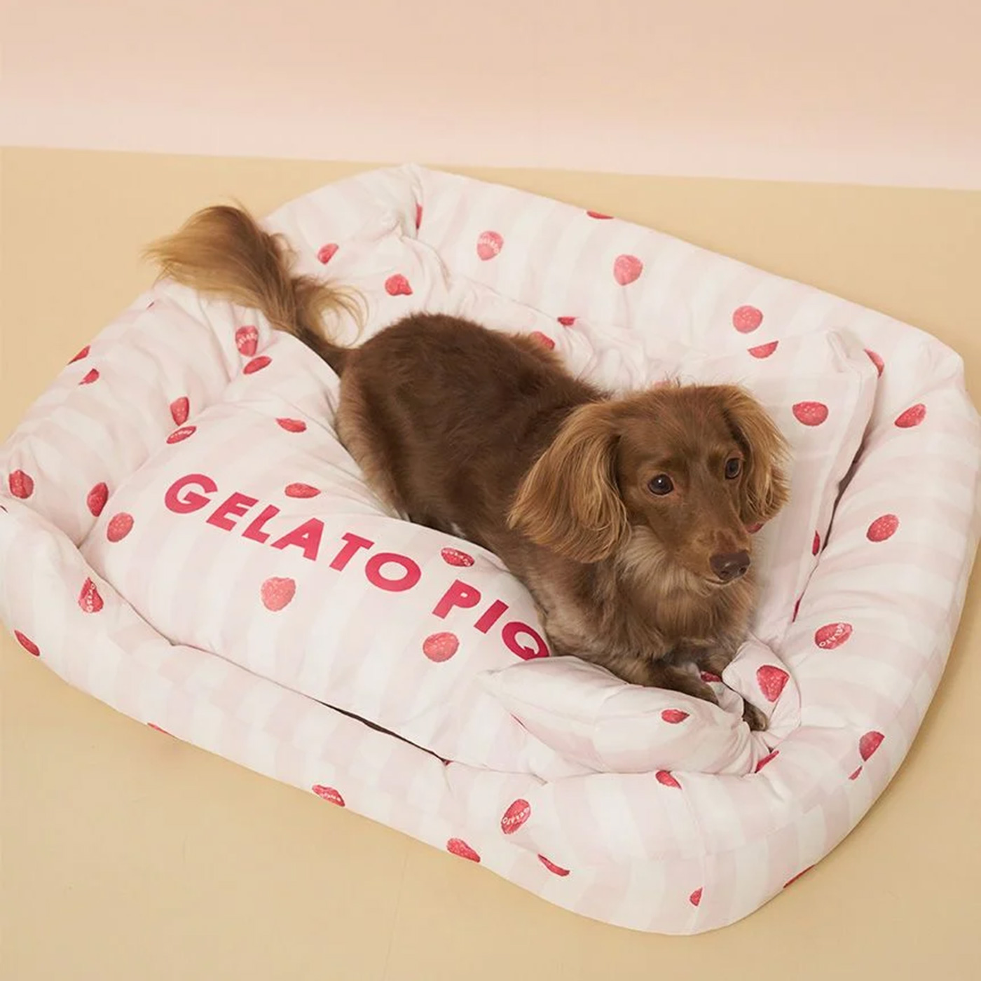 gelato pique（ジェラートピケ） CAT&DOG 接触冷感 CoolingベッドM