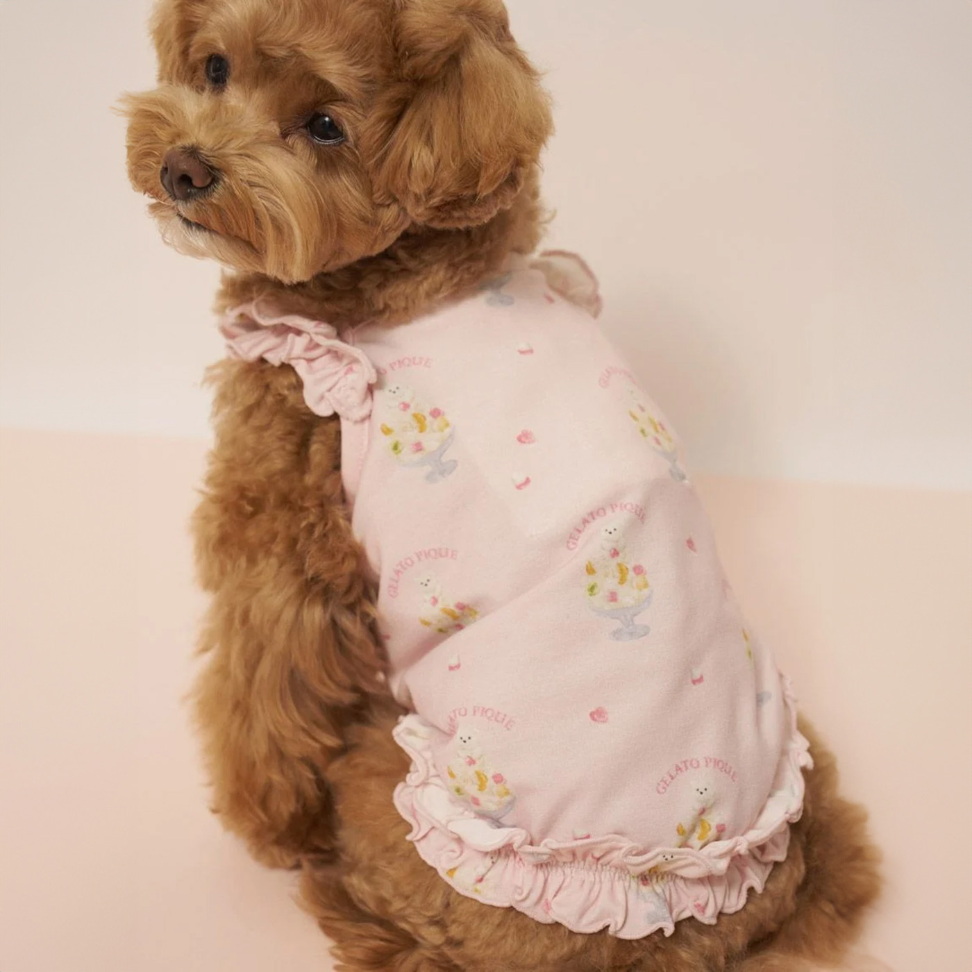 ジェラートピケ　新品未使用　接触冷感　しろくま　上下セット gelato pique（ジェラートピケ） CAT&DOG 接触冷感 シロクマひんやり