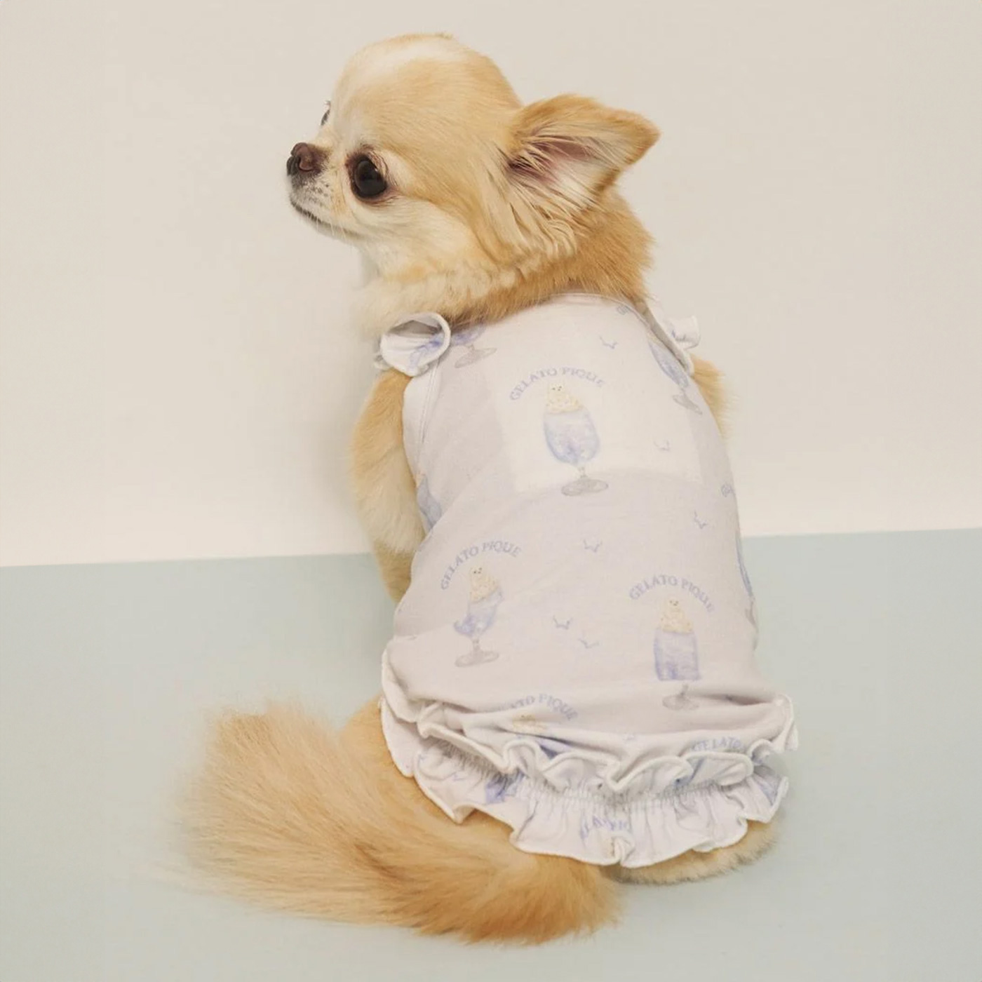 gelato pique（ジェラートピケ） CAT&DOG 接触冷感 シロクマひんやり