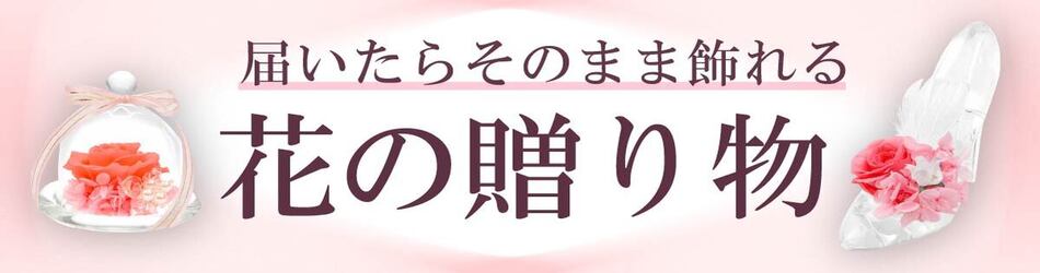 モノコレクション ソラーラ - Yahoo!ショッピング