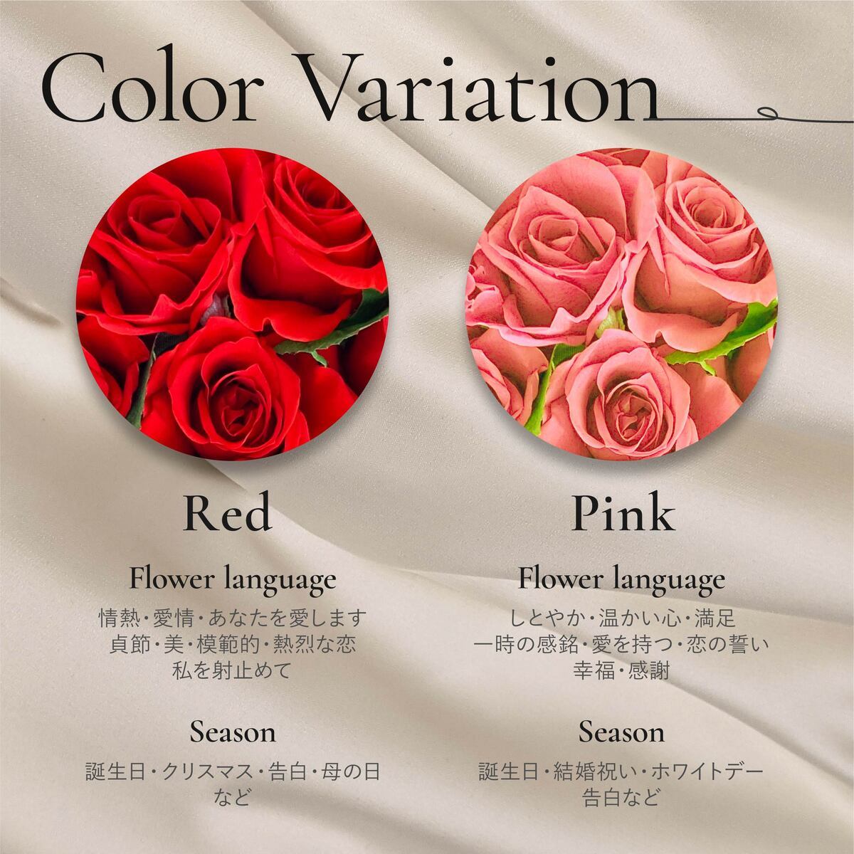 薔薇ママ Hearty Pink