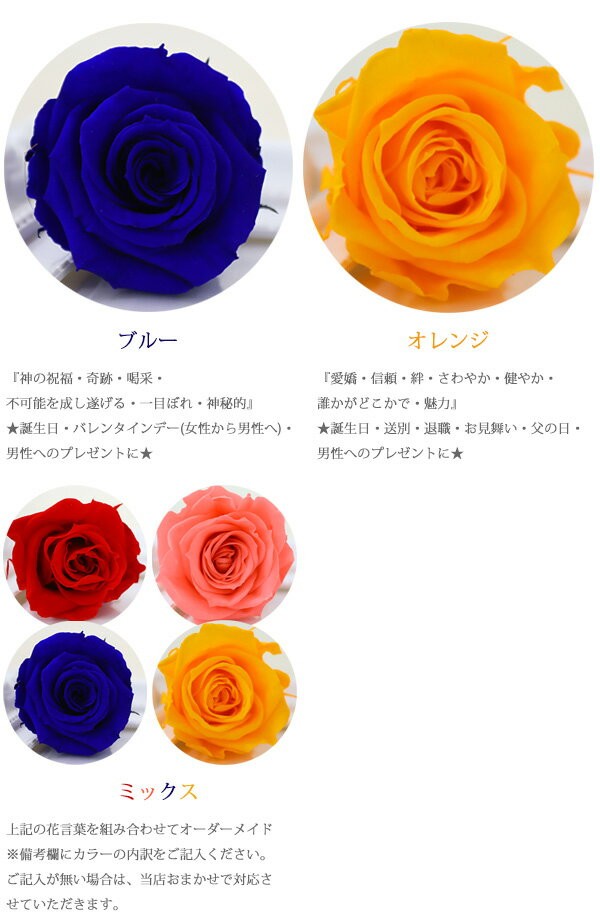父の日プレゼント自立する花束 フラワー ブーケ 枯れない花 オレンジ バラ 薔薇 メッセージローズ プリザーブドフラワー オレンジのバラ 1本