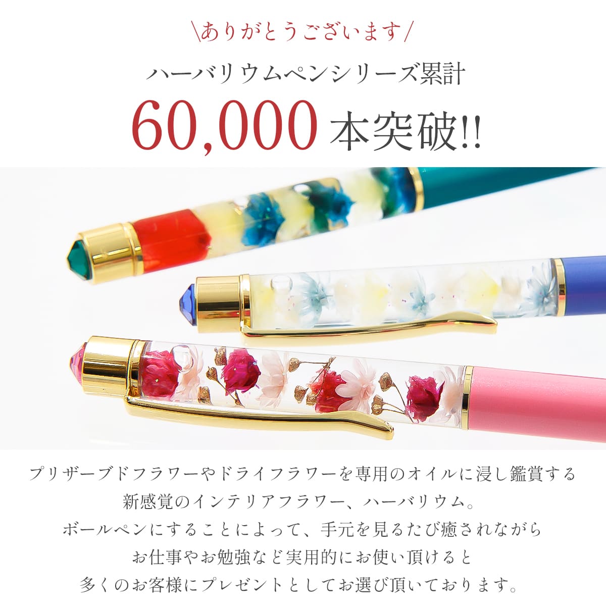 ハーバリウム ペン ボールペン ディズニー プリンセス