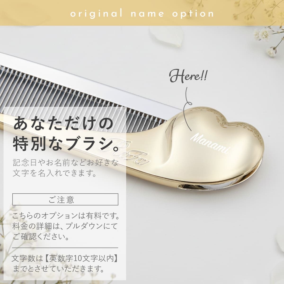 refa-020-option.jpg