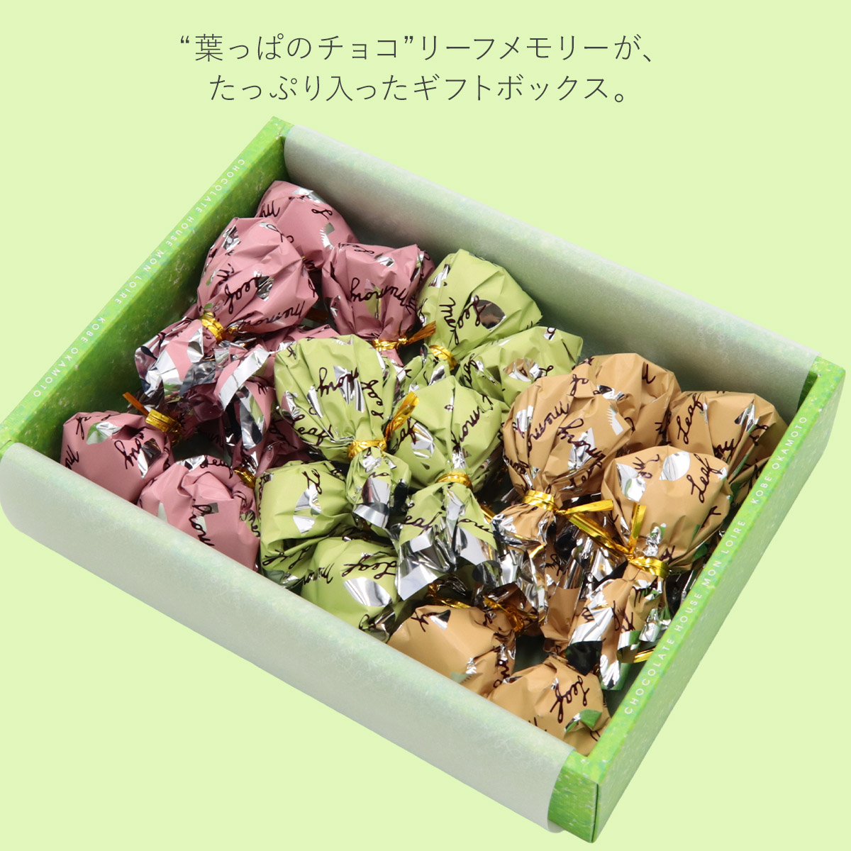 限定品☆モンロワール リーフメモリー 12色 缶入り 未開封 ショッパー