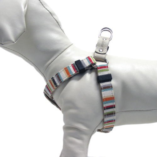 犬 ハーネス コロコ coloco ブランチ XSサイズ 小型犬用