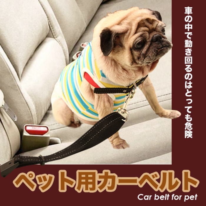 犬用 カーベルト リードにもなる２way シートベルト ドライブ 車 ペット 安全 小型犬 中型犬 大型犬 S Cw 773 犬の服 Selfish House 通販 Yahoo ショッピング