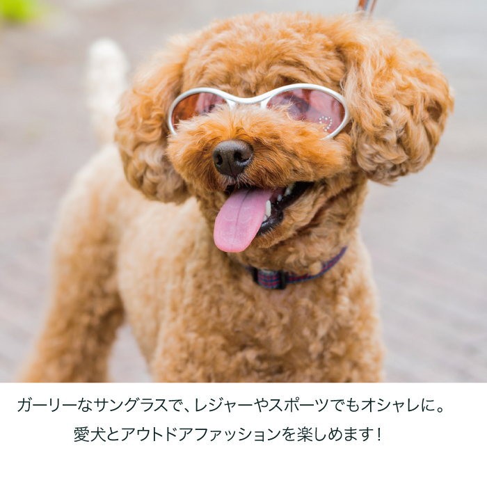 犬用ゴーグル サングラス ピンク メガネ Doggles 新色 ドグルズ 紫外線対策 Uvケア S Al 犬の服 Selfish House 通販 Yahoo ショッピング