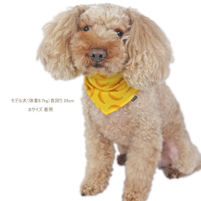 犬 バンダナ フルーツ柄 果物 スタイ イチゴ りんご バナナ 夏 コスプレ 猫 ペット 首輪 ドッグウェア ハンドメイド 受注制作
