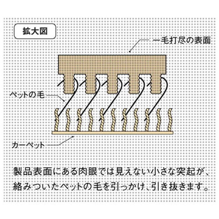 一網打尽 コレクション ペット の 毛