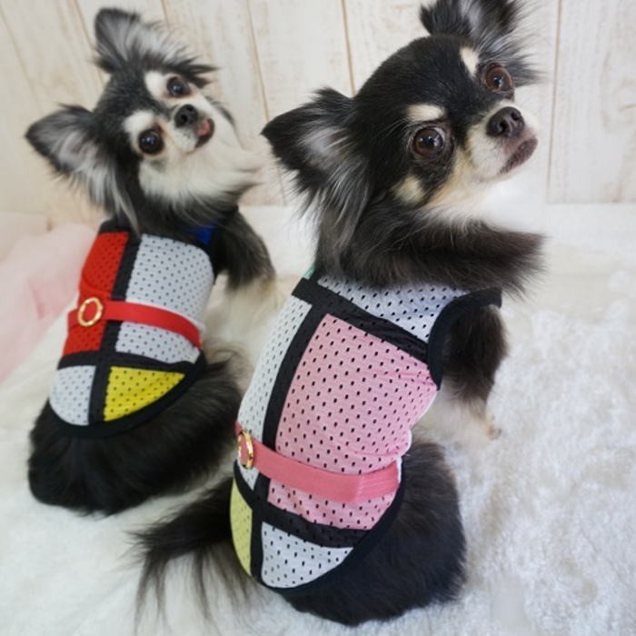 くー様⚘⚘⚘ 犬服　ハンドメイド　ブルゾン　4点 くー様⚘⚘⚘ 犬服 ハンドメイド ブルゾン 4点