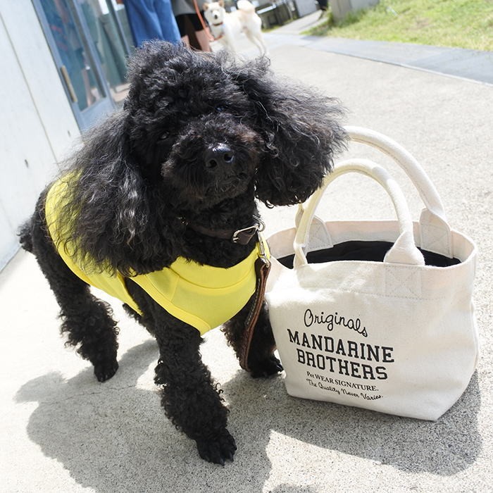 犬 お散歩バッグ マンダリンブラザーズ トートバッグ 猫 ランチバッグ ミニトート ランチトート Mandarine Brothers