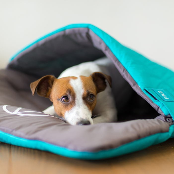 犬用 パッカブル・ベッド M ☆ ワイルドベリー 寝袋 DADWAY 車中泊