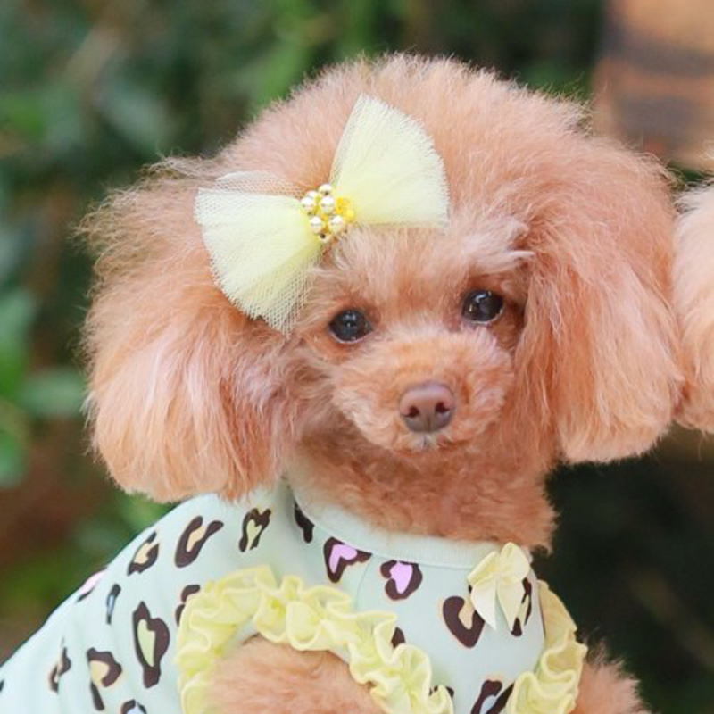 犬 ペット ヘアアクセサリー チュールリボンバレッタ 髪留め 花 チュール クリップ ピン 小型犬 中型犬 髪飾り Gopiva S Al Gp 犬の服 Selfish House 通販 Yahoo ショッピング