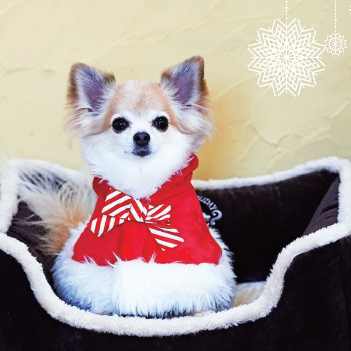 犬 服 サンタケープ Lサイズ コート ポンチョ クリスマス コスプレ フリース ファー フード 小型犬