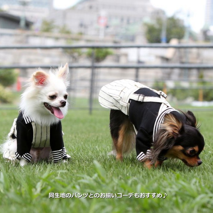 enoki！スタニングルアー ストライプサロペット ホワイト 0 stunning