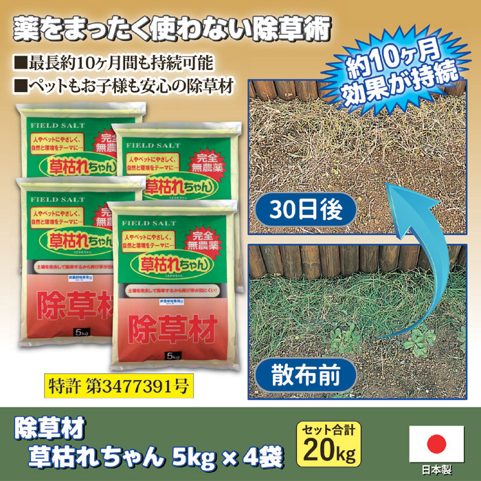【裁断済み】野草 薬草 サバイバル 自給自足 自然農 など ２３冊セット 全てのアイテム サバイバル 薬草 裁断済み】野草 自給自足 23冊