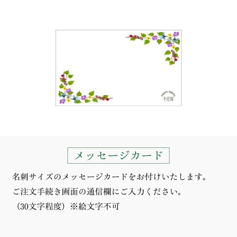 千疋屋 ギフト 飲むフルーツゼリー10個入 京橋千疋屋 | 京橋千疋屋 | 09