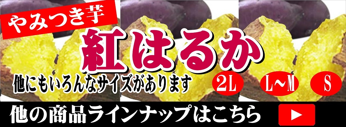  他のラインナップ