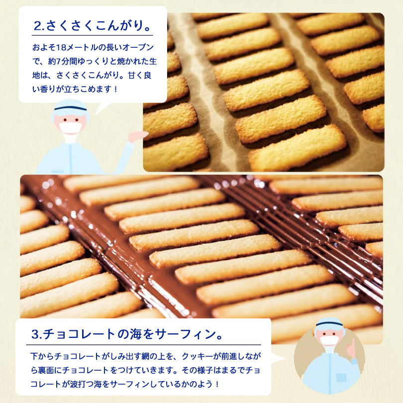 ロイズ バトンクッキー 2種詰め合わせ 50枚入 2個セット ROYCE' 北海道