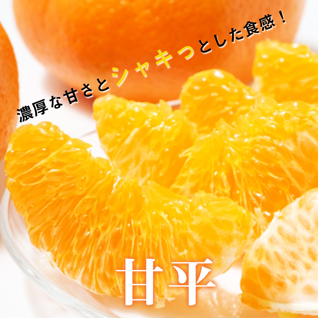 甘平 みかん 秀品 産地箱入 小玉 5Kg 送料無料 希少柑橘 愛媛県産 M-2L