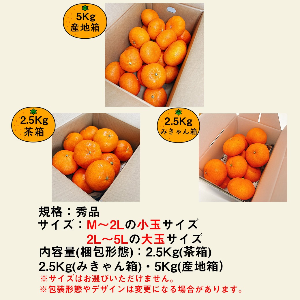 甘平 みかん 秀品 産地箱入 小玉 5Kg 送料無料 希少柑橘 愛媛県産 M-2L