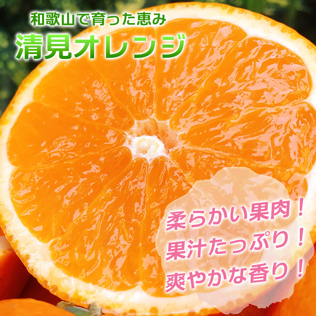 清見 訳あり 大玉 オレンジ 10kg箱 送料無料 和歌山県産 2L-5Lサイズ