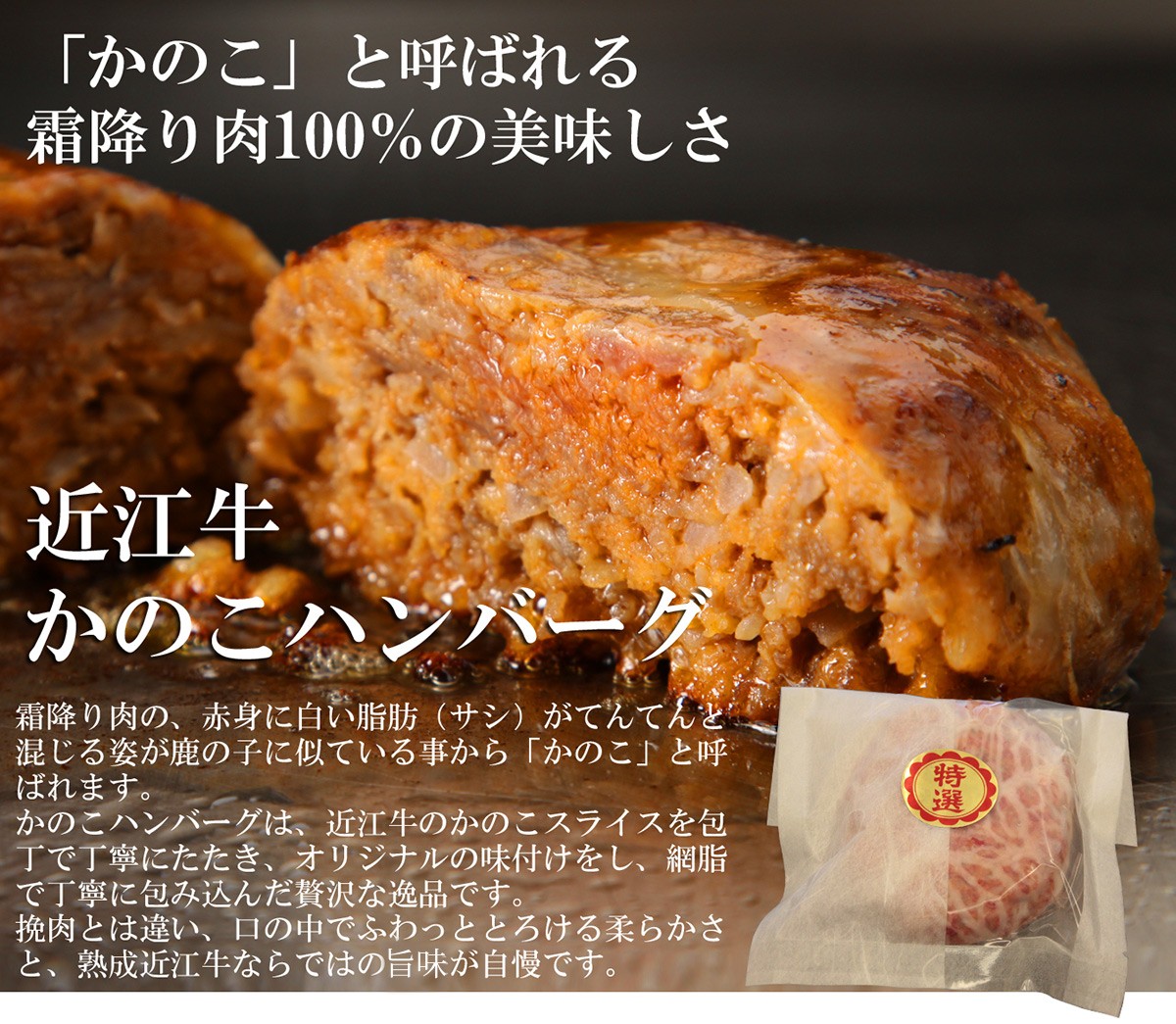 夏ギフトお中元ハンバーグイメージ
