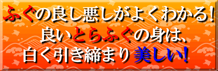 ふぐの良し悪しがよくわかる!!