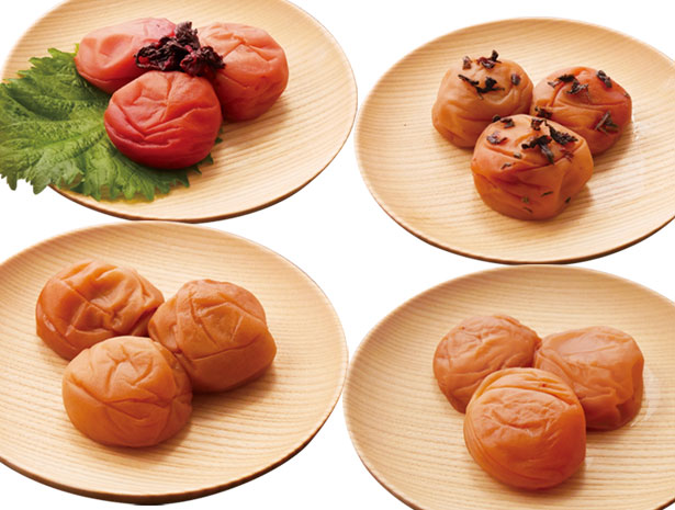 梅干し お試しセットＡ 初回限定 梅干し 240g 文左 はちみつ梅  梅ぼし うめぼし 和歌山 減塩  南高梅 仙宝