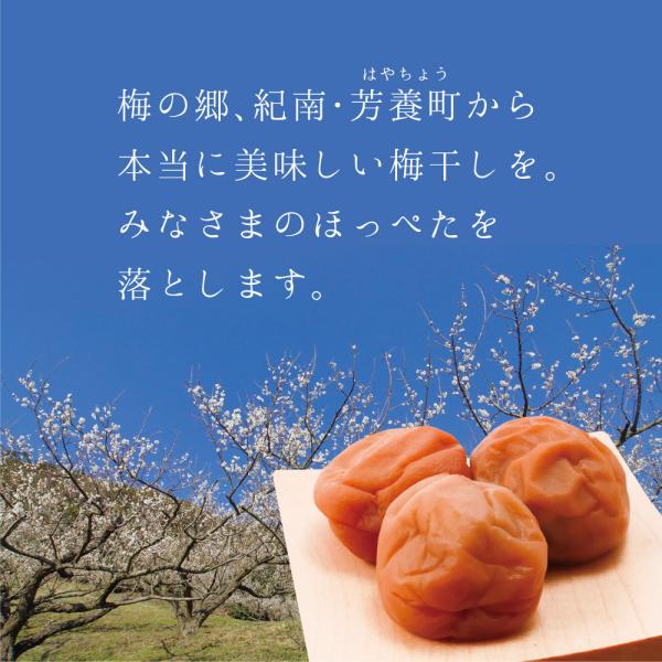 せんのうめ 梅干し 小梅 1kg 小さい梅干 うめぼし 紀州 南高梅