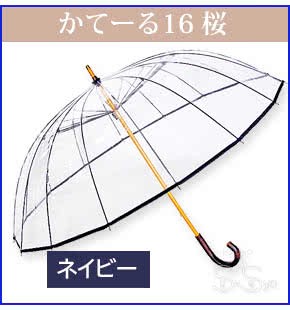 かてーる16桜NV