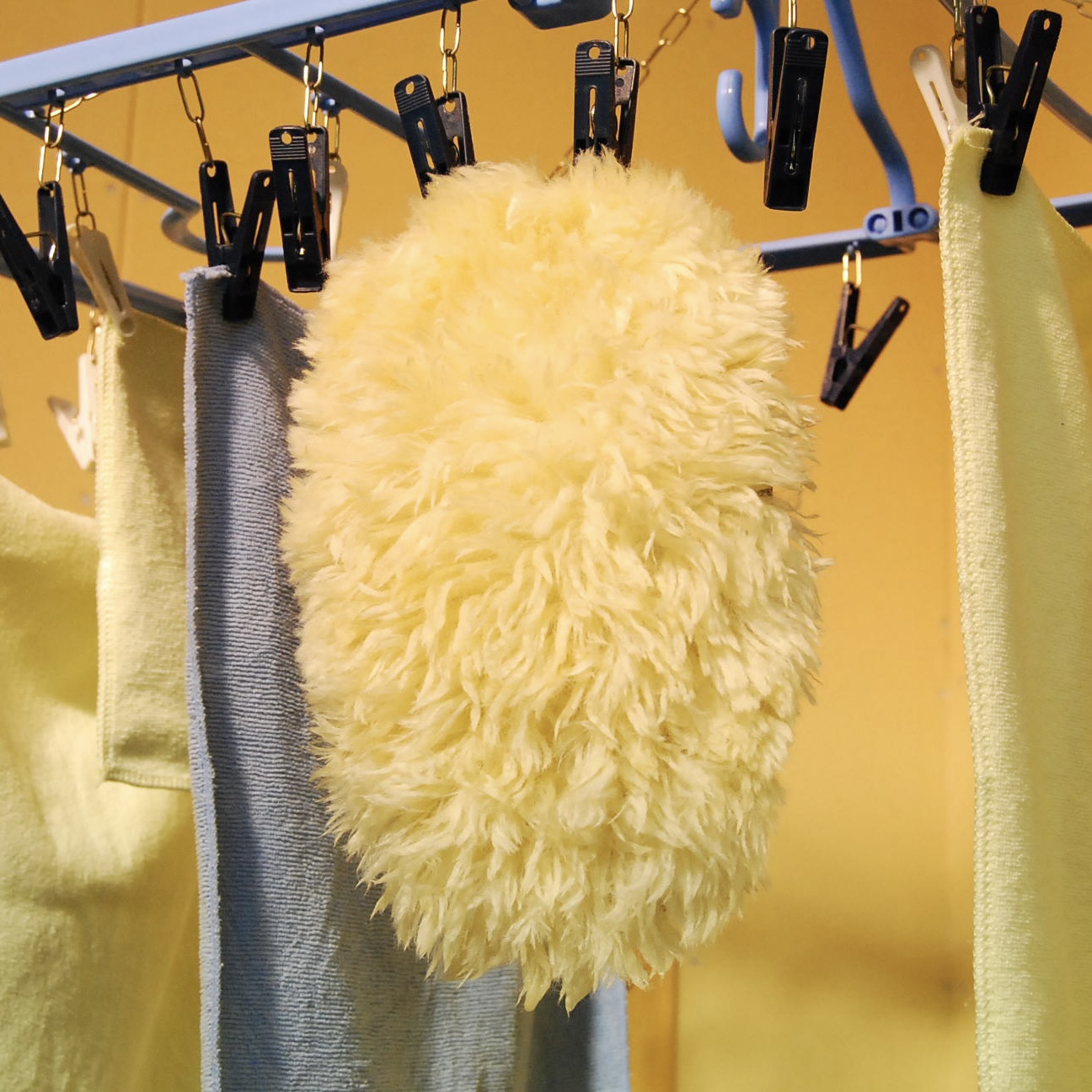 ムートングローブ 洗車用品