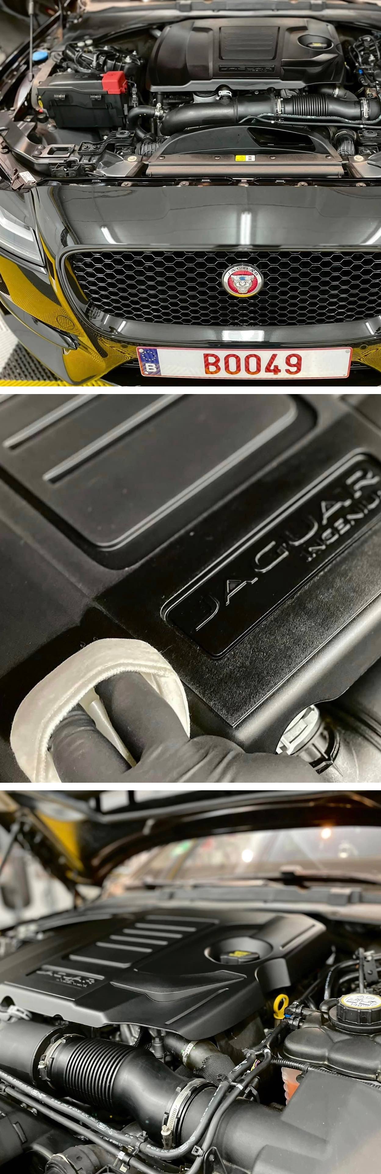 エンジンクリーニング エンジンワックス エンジンルーム 艶出し エンジン 洗車の王国 SENSHA