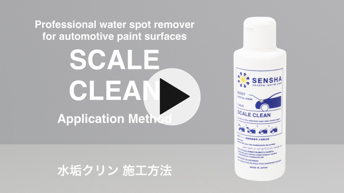 水垢除去剤 カーシャンプー 水垢取り 水垢クリーナー 水垢除去 イオンデポジット