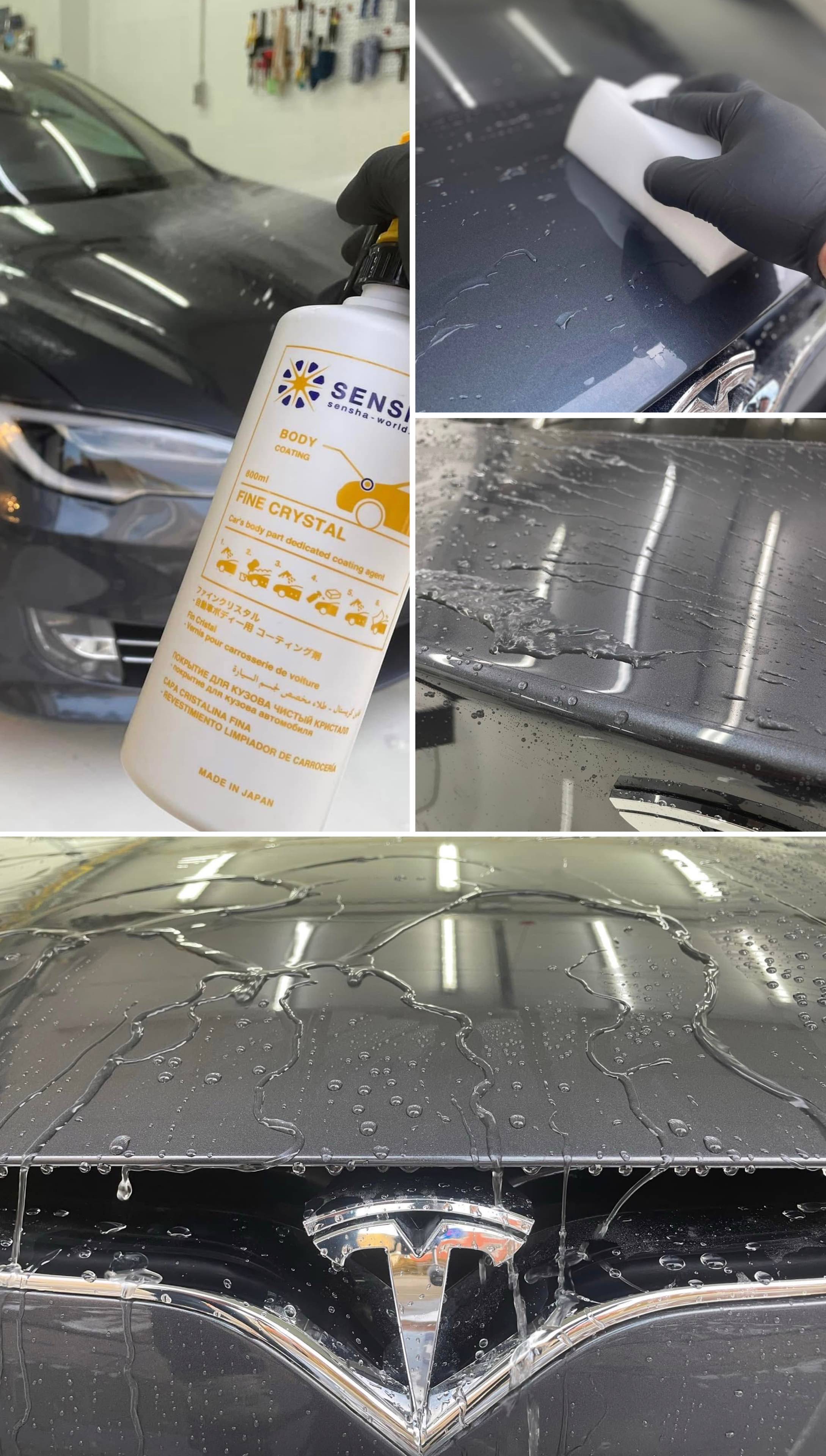ガラスコーティング 洗車用品 コーティング剤 洗車の王国 ファインクリスタル