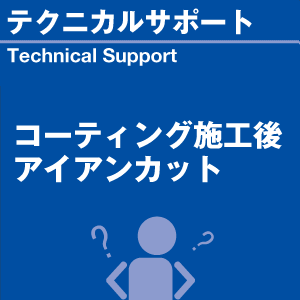コーティング施工後アイアンカット 当店オリジナ...の詳細画像1