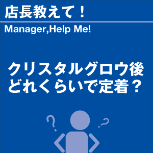 クリスタルグロウ後どれくらいで定着? 当店オリ...の詳細画像1