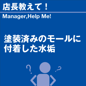塗装済みのモールに付着した水垢 当店オリジナル...の詳細画像1