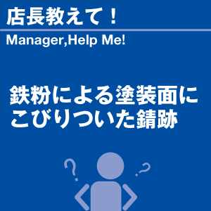 鉄粉による塗装面にこびりついた錆跡 当店オリジ...の詳細画像1
