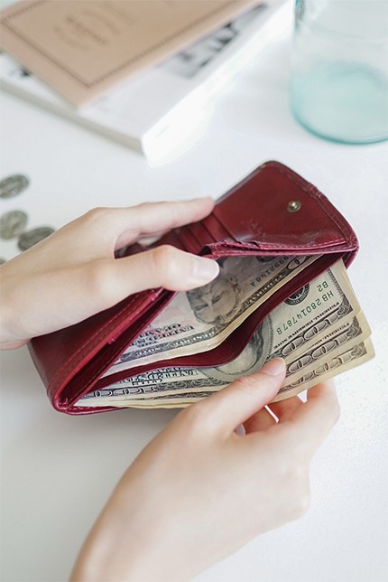 Dakota（ダコタ） 3年保証＋プレゼント付 リードクラシック2 小銭入れ