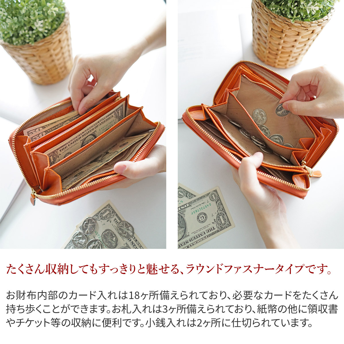 ちーちゃん　ダコタ Dakota ラウンドファスナー長財布 ミモザ チョコ Dakota 【最大p31％Wプレゼント付】 ダコタ ミモザ 小銭入れ